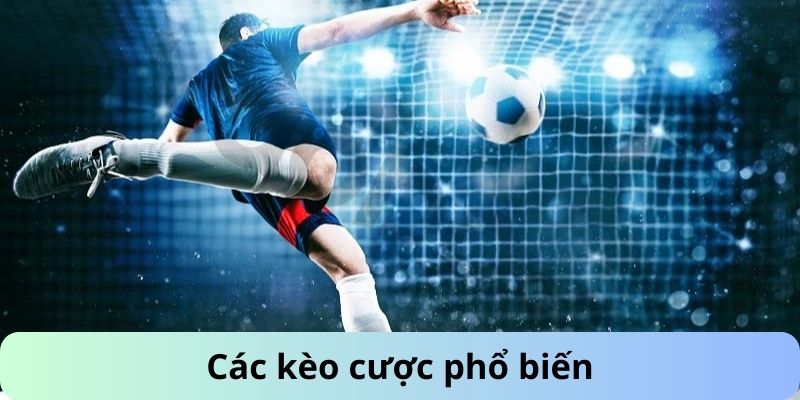 Các kèo cược phổ biến