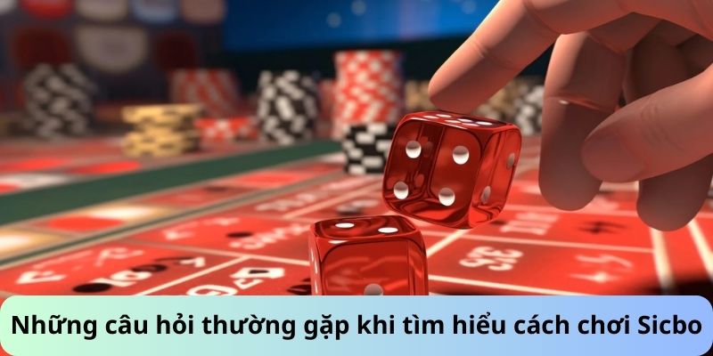 Những câu hỏi thường gặp khi tìm hiểu cách chơi Sicbo