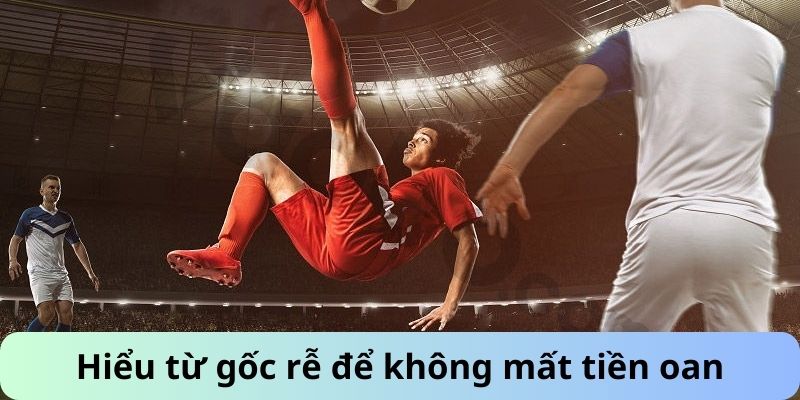 Hiểu từ gốc rễ để không mất tiền oan