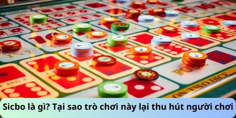 Sicbo là gì? Tại sao trò chơi này lại thu hút người chơi